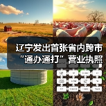 辽宁发出首张省内跨市“通办通打”营业执照(图4) 辽宁发出首张省内跨市“通办通打”营业执照(图4)
