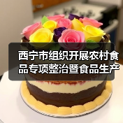 西宁市组织开展农村食品专项整治暨食品生产加工小作坊专题培训（图1）