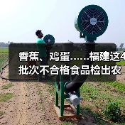 香蕉、鸡蛋……福建这4批次不合格食品检出农兽药残留问题(图1) 香蕉、鸡蛋……福建这4批次不合格食品检出农兽药残留问题(图1)
