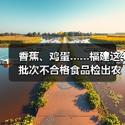 香蕉、鸡蛋……福建这4批次不合格食品检出农兽药残留问题(图4) 香蕉、鸡蛋……福建这4批次不合格食品检出农兽药残留问题(图4)