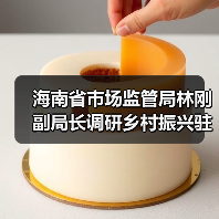 海南省市场监管局林刚副局长调研乡村振兴驻村干部作用发挥和糟粕醋企业产业发展情况（图4）