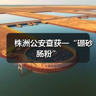 株洲公安查获一“硼砂肠粉”(图3) 株洲公安查获一“硼砂肠粉”(图3)