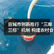宣城市创新推行“三单三标”机制 构建农村食品销售安全治理新格局（图1）