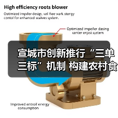 宣城市创新推行“三单三标”机制 构建农村食品销售安全治理新格局（图2）