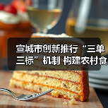 宣城市创新推行“三单三标”机制 构建农村食品销售安全治理新格局（图3）