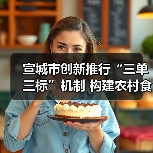 宣城市创新推行“三单三标”机制 构建农村食品销售安全治理新格局（图4）
