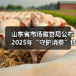 山东省市场监管局公布2025年“守护消费”铁拳行动食品安全领域行政处罚典型案例（第二批）（图3）