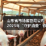 山东省市场监管局公布2025年“守护消费”铁拳行动食品安全领域行政处罚典型案例（第二批）（图4）