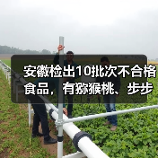 安徽检出10批次不合格食品,有猕猴桃、步步糕、小薄脆等(图1) 安徽检出10批次不合格食品,有猕猴桃、步步糕、小薄脆等(图1)