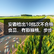 安徽检出10批次不合格食品,有猕猴桃、步步糕、小薄脆等(图2) 安徽检出10批次不合格食品,有猕猴桃、步步糕、小薄脆等(图2)