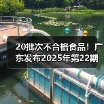 20批次不合格食品!广东发布2025年第22期抽检,涉及这4方面问题(图1) 20批次不合格食品!广东发布2025年第22期抽检,涉及这4方面问题(图1)
