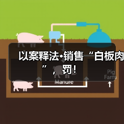 以案释法·销售“白板肉”，罚！（图2）
