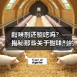 甜味剂还能吃吗?—— 揭秘那些关于甜味剂的“甜蜜谣言”(图2) 甜味剂还能吃吗?—— 揭秘那些关于甜味剂的“甜蜜谣言”(图2)