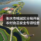 衡水市桃城区分局开展农村食品安全专项检查（图1）
