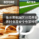 衡水市桃城区分局开展农村食品安全专项检查（图3）