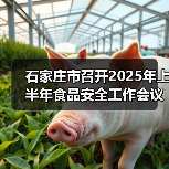 石家庄市召开2025年上半年食品安全工作会议（图4）