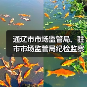 通辽市市场监管局、驻市市场监管局纪检监察组联合开展假劣肉制品、农村假冒伪劣食品监督检查(图1) 通辽市市场监管局、驻市市场监管局纪检监察组联合开展假劣肉制品、农村假冒伪劣食品监督检查(图1)
