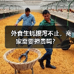 外食生蚝腹泻不止,商家需要担责吗?(图4) 外食生蚝腹泻不止,商家需要担责吗?(图4)