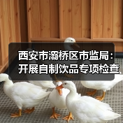 西安市灞桥区市监局：开展自制饮品专项检查 守护夏日“舌尖上的清凉”（图1）