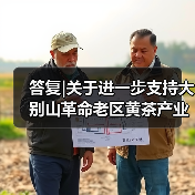 答复|关于进一步支持大别山革命老区黄茶产业发展促进乡村振兴高质量发展的建议（图3）