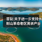 答复|关于进一步支持大别山革命老区黄茶产业发展促进乡村振兴高质量发展的建议（图4）