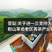 答复|关于进一步支持大别山革命老区黄茶产业发展促进乡村振兴高质量发展的建议（图1）