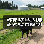 咸阳市扎实推进农村假冒伪劣食品专项整治行动(图3) 咸阳市扎实推进农村假冒伪劣食品专项整治行动(图3)