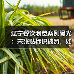 辽宁餐饮浪费案例曝光：未张贴标识被罚，如何预防？（图3）