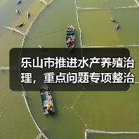 乐山市推进水产养殖治理,重点问题专项整治如何落实?(图3) 乐山市推进水产养殖治理,重点问题专项整治如何落实?(图3)