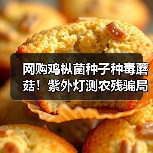 网购鸡枞菌种子种毒蘑菇!紫外灯测农残骗局曝光,外卖打包费惊人(图1) 网购鸡枞菌种子种毒蘑菇!紫外灯测农残骗局曝光,外卖打包费惊人(图1)