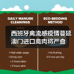 西班牙禽流感疫情蔓延 澳门进口禽肉将严查（图3）