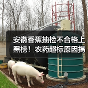 安徽香蕉抽检不合格上黑榜!农药超标原因揭秘(图3) 安徽香蕉抽检不合格上黑榜!农药超标原因揭秘(图3)