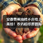 安徽香蕉抽检不合格上黑榜!农药超标原因揭秘(图2) 安徽香蕉抽检不合格上黑榜!农药超标原因揭秘(图2)
