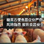 糖果方便食品企业严查风险隐患 聚焦食品安全监管（图3）