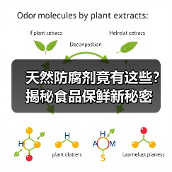天然防腐剂竟有这些？揭秘食品保鲜新秘密（图4）