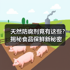 天然防腐剂竟有这些？揭秘食品保鲜新秘密（图3）