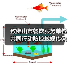 致佛山市餐饮服务单位共同行动防控蚊媒传染病的倡议书(图3) 致佛山市餐饮服务单位共同行动防控蚊媒传染病的倡议书(图3)