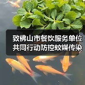 致佛山市餐饮服务单位共同行动防控蚊媒传染病的倡议书(图2) 致佛山市餐饮服务单位共同行动防控蚊媒传染病的倡议书(图2)