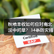 秋粮丰收如何应对南北涝中间旱？34条防灾措施精准施策（图1）