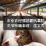 农业农村部部署抗旱防汛保秋粮丰收:压实责任抓细举措(图2) 农业农村部部署抗旱防汛保秋粮丰收:压实责任抓细举措(图2)