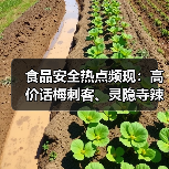 食品安全热点频现:高价话梅刺客、灵隐寺辣椒酱超辣引热议,多事件回应与最新趋势解析(图1) 食品安全热点频现:高价话梅刺客、灵隐寺辣椒酱超辣引热议,多事件回应与最新趋势解析(图1)