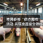 市民参与“你点我检”活动 共筑食品安全防线(图4) 市民参与“你点我检”活动 共筑食品安全防线(图4)