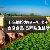 上海抽检发现三批次不合格食品 香辣鳗鱼丝涉农药残留(图3) 上海抽检发现三批次不合格食品 香辣鳗鱼丝涉农药残留(图3)