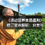 《运动营养食品通则》修订要点解析:分类与指标如何调整?(图2) 《运动营养食品通则》修订要点解析:分类与指标如何调整?(图2)
