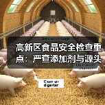高新区食品安全检查重点：严查添加剂与源头风险（图2）