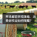 市场监管新规落地,消费者权益如何保障?(图3) 市场监管新规落地,消费者权益如何保障?(图3)
