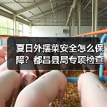夏日外摆菜安全怎么保障?都昌县局专项检查揭秘(图2) 夏日外摆菜安全怎么保障?都昌县局专项检查揭秘(图2)