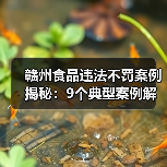赣州食品违法不罚案例揭秘:9个典型案例解读(图2) 赣州食品违法不罚案例揭秘:9个典型案例解读(图2)