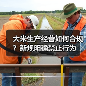 大米生产经营如何合规?新规明确禁止行为(图2) 大米生产经营如何合规?新规明确禁止行为(图2)