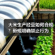 大米生产经营如何合规?新规明确禁止行为(图1) 大米生产经营如何合规?新规明确禁止行为(图1)